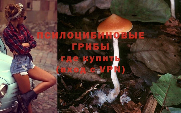 прущие грибы Липки