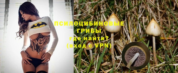 прущие грибы Липки