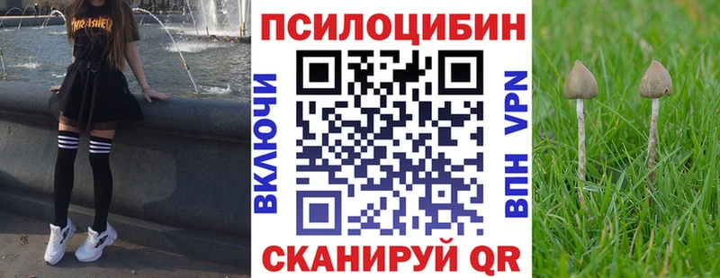 Псилоцибиновые грибы мицелий Новоузенск