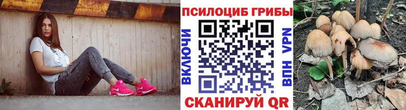 Псилоцибиновые грибы мухоморы  Купить  Новоузенск 